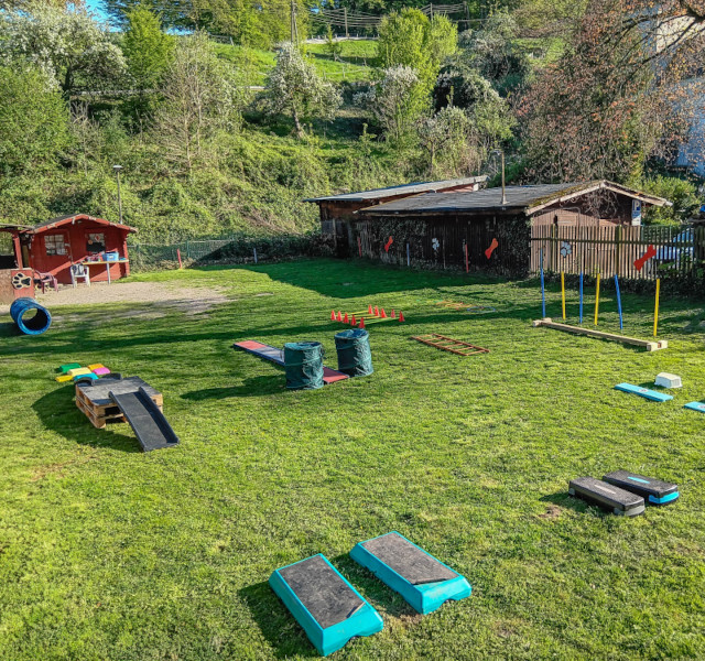 Eine Wiese mit verschiedenen Traingsmöglichkeiten