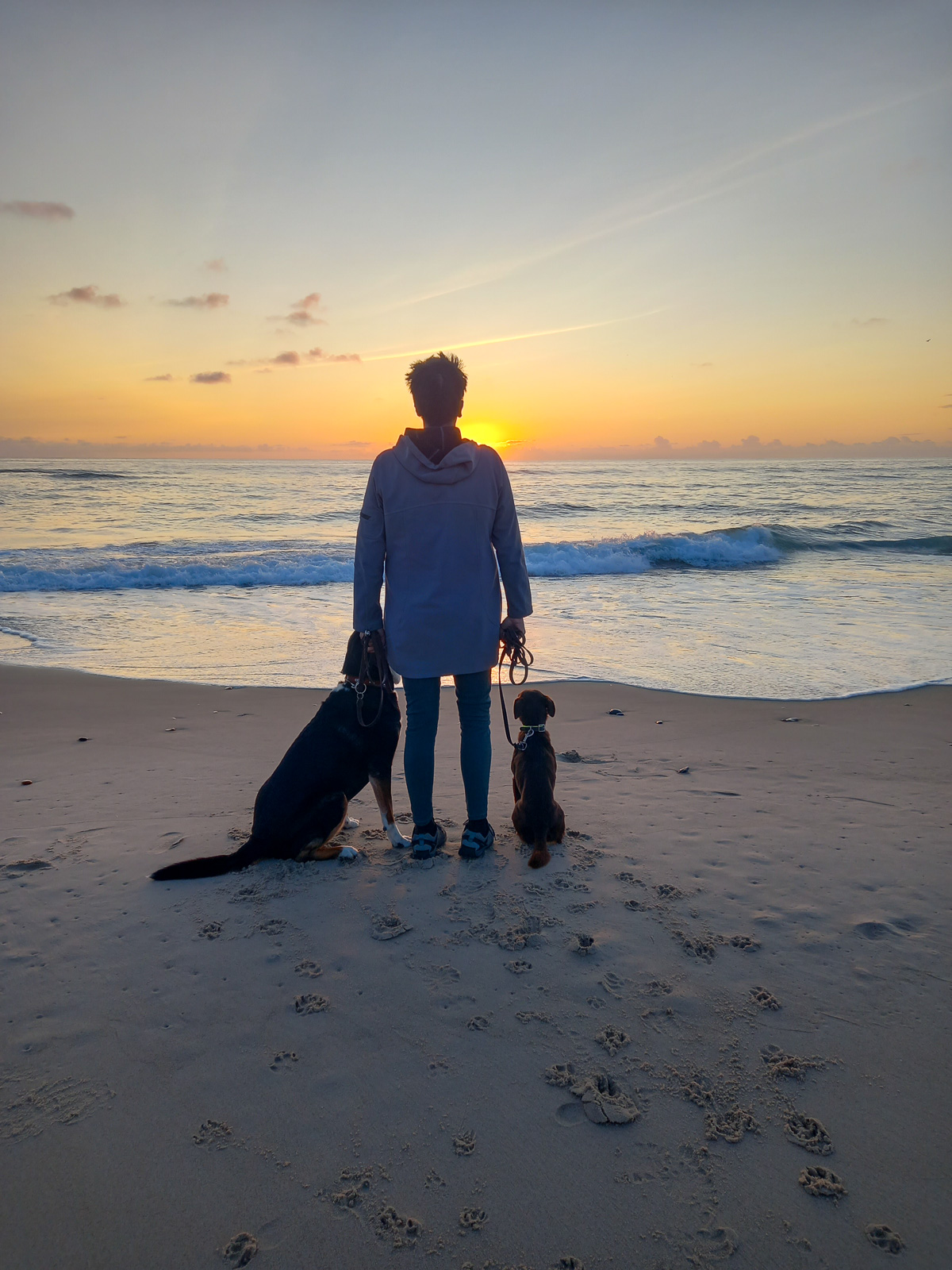 Tatjana mit zwei Hunden am Strand